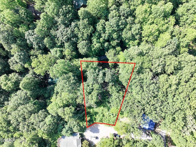199 Tsali Way, Sevierville, TN 37876 - photo 2