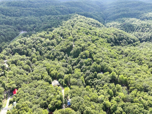 199 Tsali Way, Sevierville, TN 37876 - photo 8