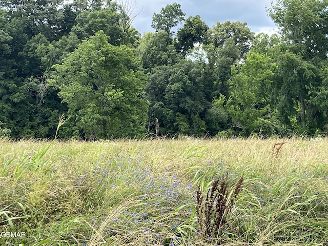 39LOT Tributary Dr, Sevierville, TN 37876