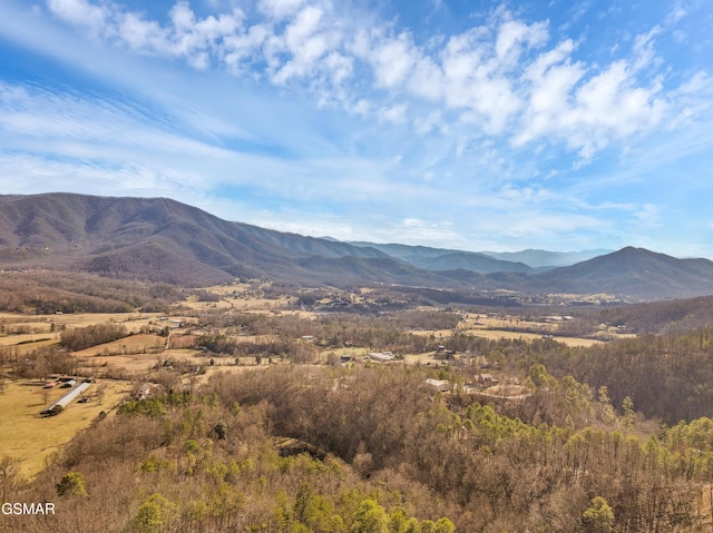 property view of mountains