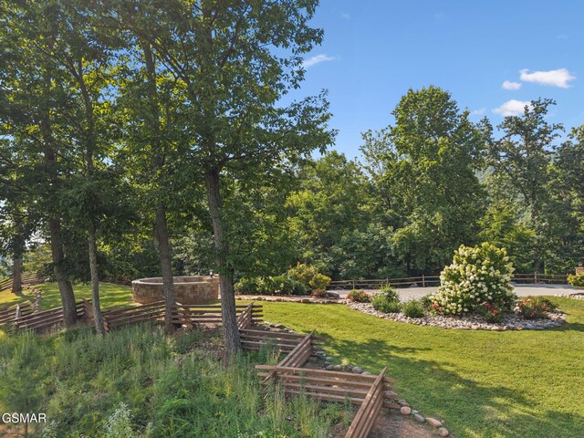 831 Big Bear Ridge Rd, Gatlinburg, TN 37738 - photo 65