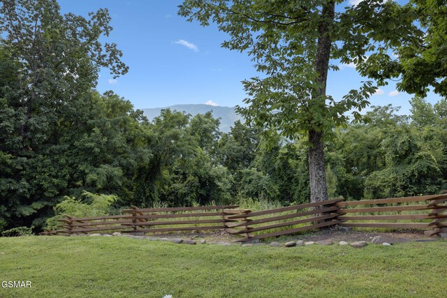 831 Big Bear Ridge Rd, Gatlinburg, TN 37738 - photo 66