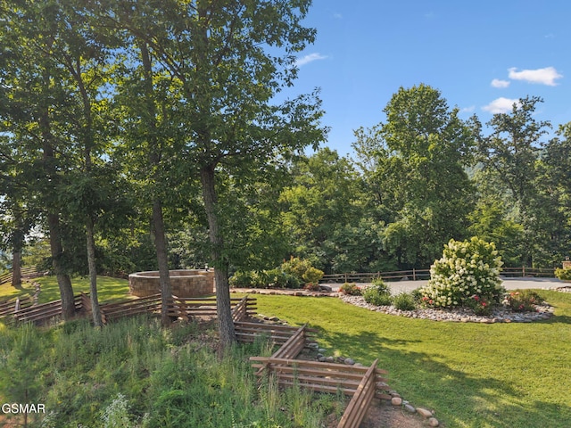831 Big Bear Ridge Rd, Gatlinburg, TN 37738 - photo 69