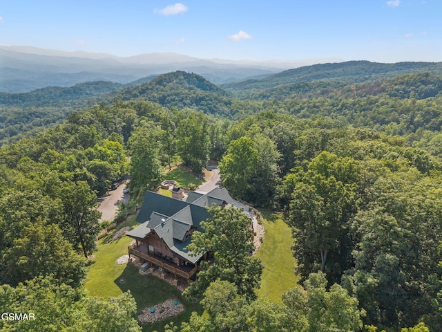 831 Big Bear Ridge Rd, Gatlinburg, TN 37738 - photo 4