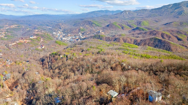 view of mountain feature