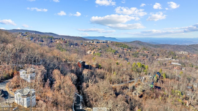 view of mountain feature