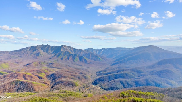 view of mountain feature