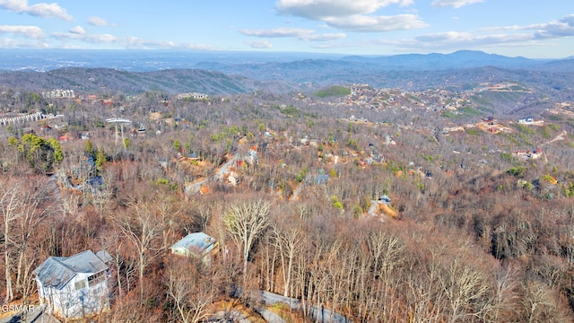 drone / aerial view with a mountain view