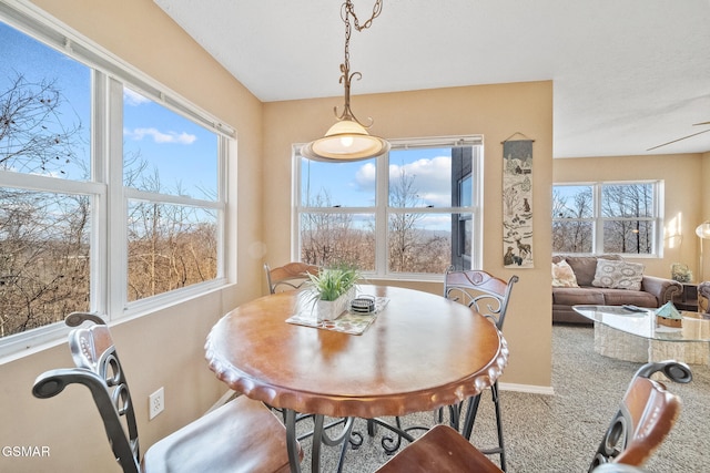 view of dining space