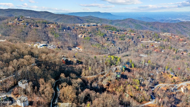 property view of mountains