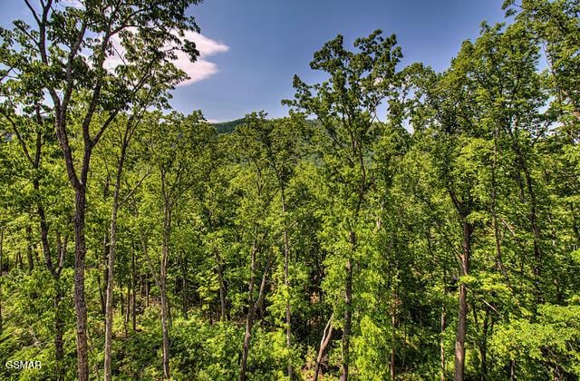 view of local wilderness