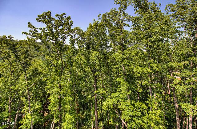 view of nature