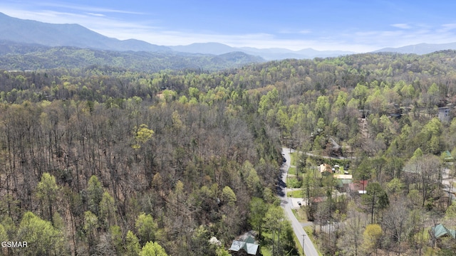 919 Powdermill Rd, Gatlinburg, TN 37738 - photo 47