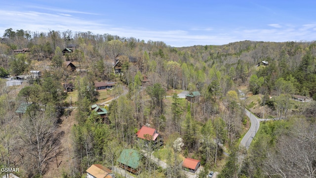 919 Powdermill Rd, Gatlinburg, TN 37738 - photo 33