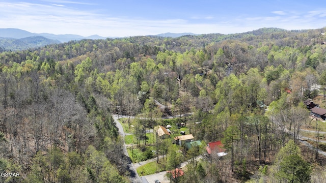 919 Powdermill Rd, Gatlinburg, TN 37738 - photo 16