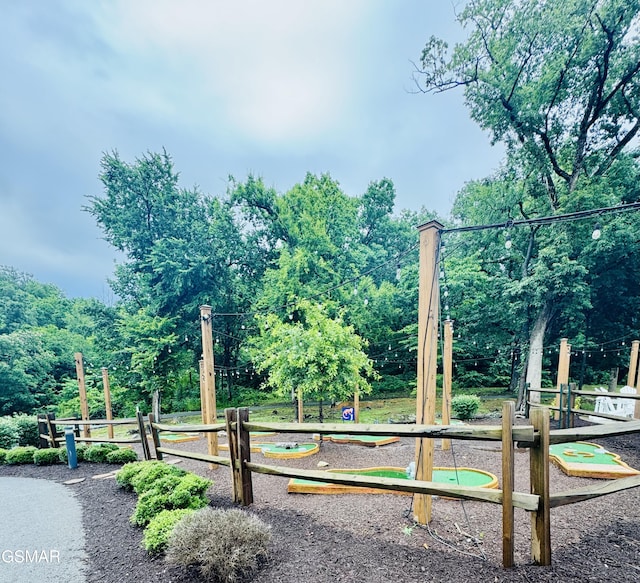 225 Collier Dr Unit 2311, Sevierville, TN 37862 - photo 46