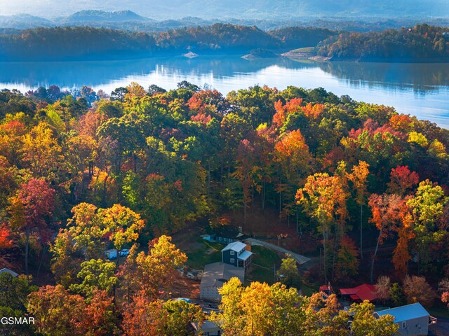 aerial view featuring a water and mountain view