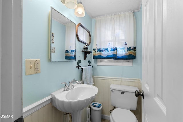 bathroom with toilet, wooden walls, and sink