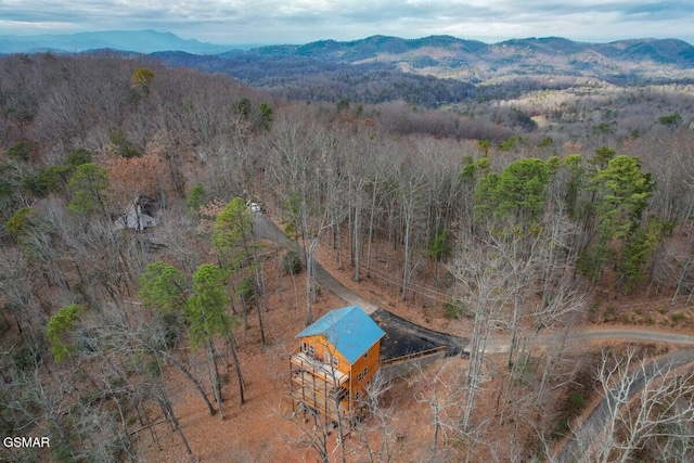 bird's eye view featuring a mountain view