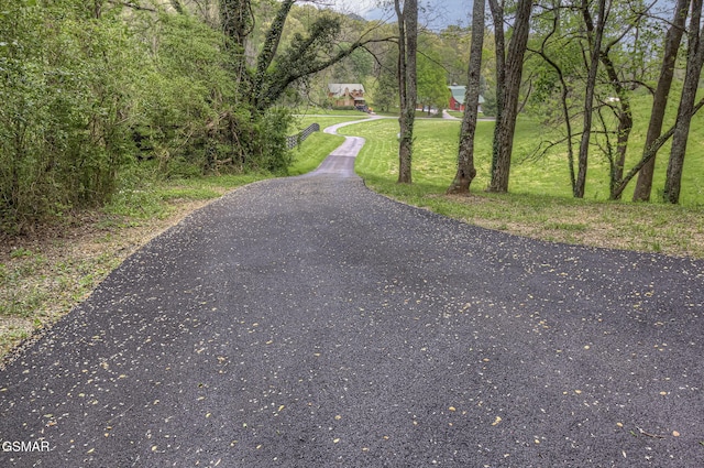 3050 Headrick Dr, Sevierville, TN 37862 - view of street with aphalt driveway