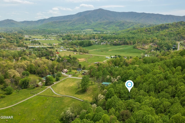 3050 Headrick Dr, Sevierville, TN 37862 - bird's eye view featuring a view of trees and a mountain view