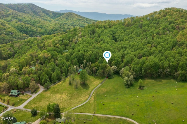 3050 Headrick Dr, Sevierville, TN 37862 - aerial view with a view of trees and a mountain view