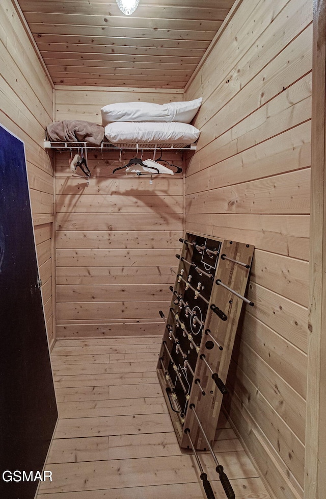 3050 Headrick Dr, Sevierville, TN 37862 - view of spacious closet