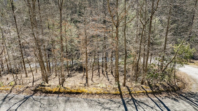 274 Cove Hollow Rd, Cosby, TN 37722