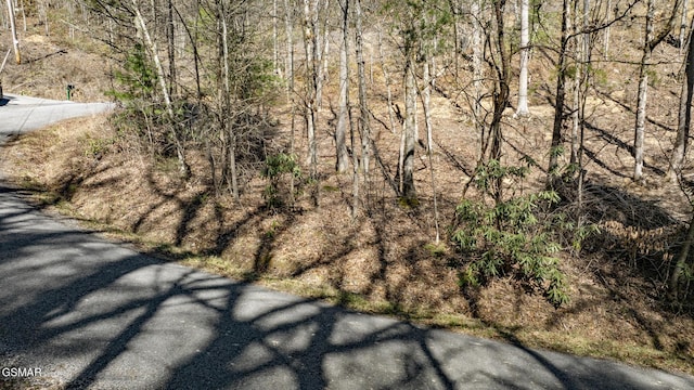 274 Cove Hollow Rd, Cosby, TN 37722