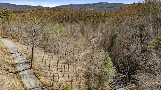 274 Cove Hollow Rd, Cosby, TN 37722