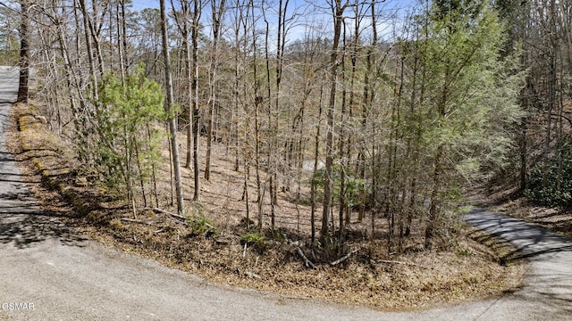 274 Cove Hollow Rd, Cosby, TN 37722