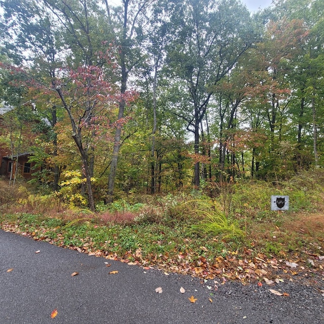 Listing photo 3 for LOT2 Vista Dr, Gatlinburg TN 37738