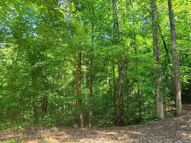 LOT9 Walden Flats Way, Sevierville, TN 37862