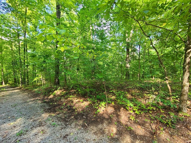 LOT9 Walden Flats Way, Sevierville, TN 37862