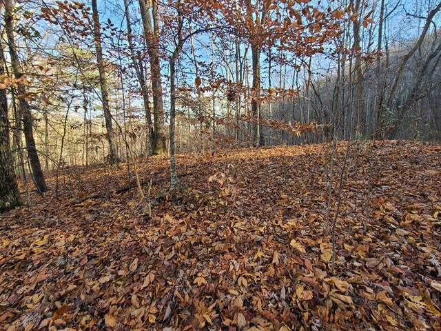 LOT9 Walden Flats Way, Sevierville, TN 37862