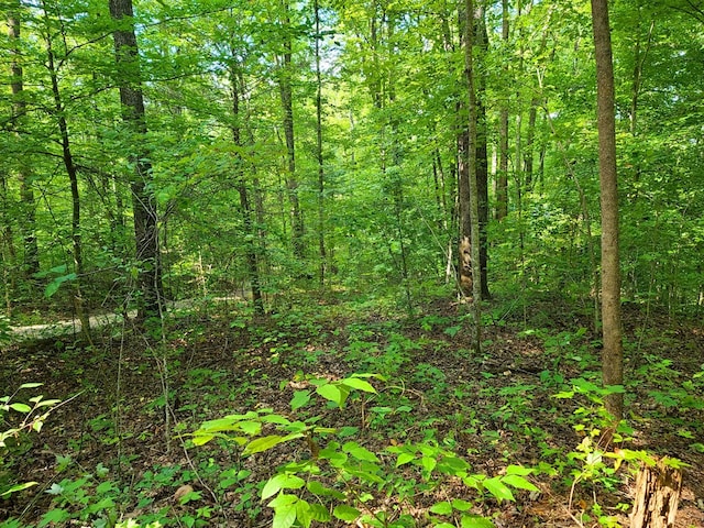 LOT9 Walden Flats Way, Sevierville, TN 37862
