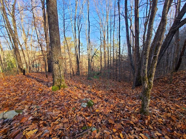 LOT9 Walden Flats Way, Sevierville, TN 37862