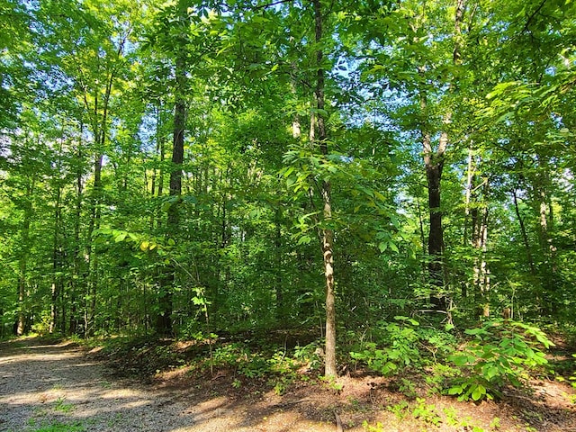 LOT9 Walden Flats Way, Sevierville, TN 37862