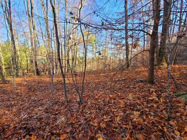LOT9 Walden Flats Way, Sevierville, TN 37862