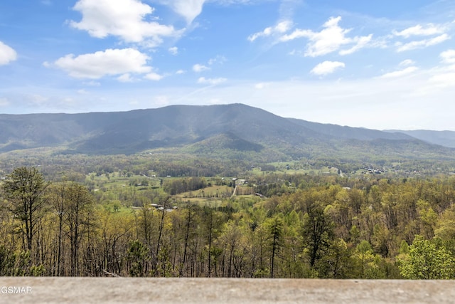 2851 Indigo Ln, Sevierville, TN 37862 - property view of mountains with a view of trees