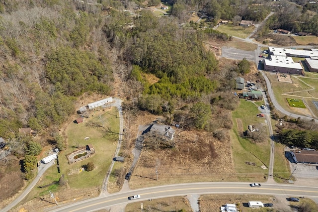 3045 Birds Creek Rd, Sevierville, TN 37876 - photo 5