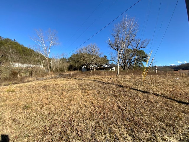 3045 Birds Creek Rd, Sevierville, TN 37876 - photo 12