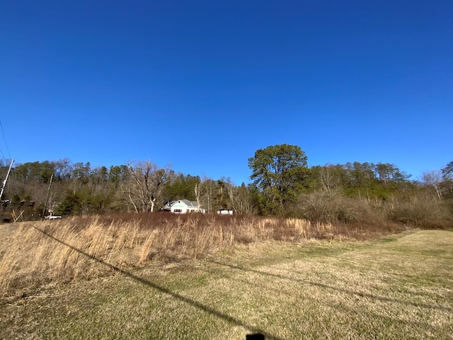 3045 Birds Creek Rd, Sevierville, TN 37876 - photo 14