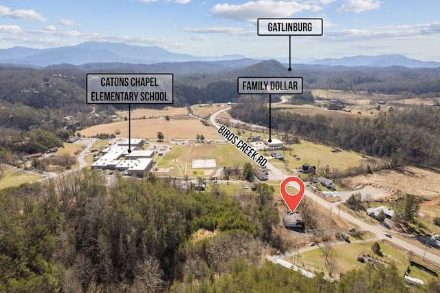 3045 Birds Creek Rd, Sevierville, TN 37876 - photo 4