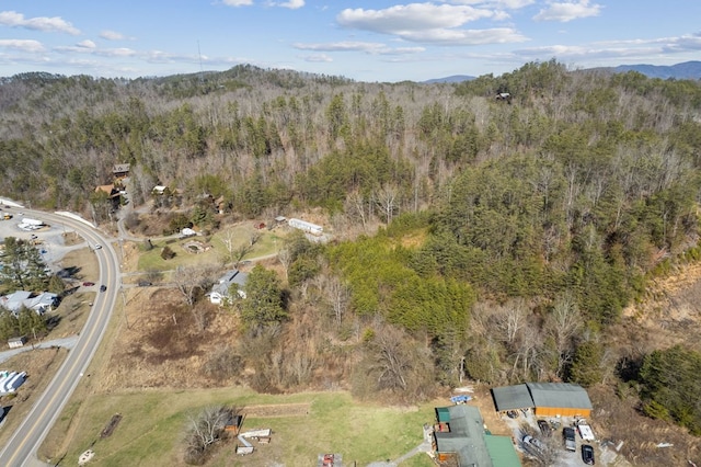 3045 Birds Creek Rd, Sevierville, TN 37876 - photo 6