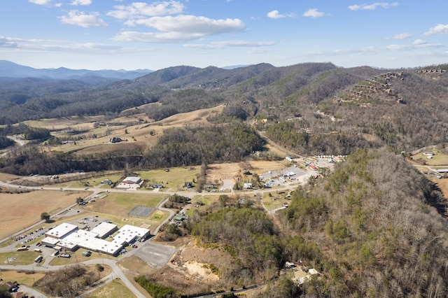 3045 Birds Creek Rd, Sevierville, TN 37876 - photo 7