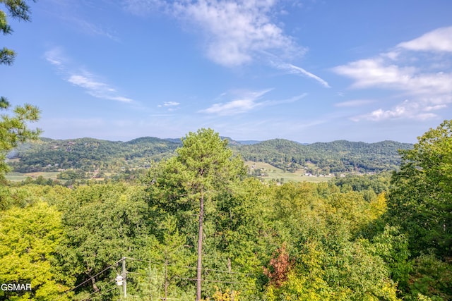 mountain view with a wooded view