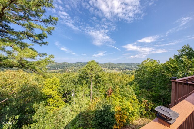 4109 Ole Smoky Way, Sevierville, TN 37862 - photo 26