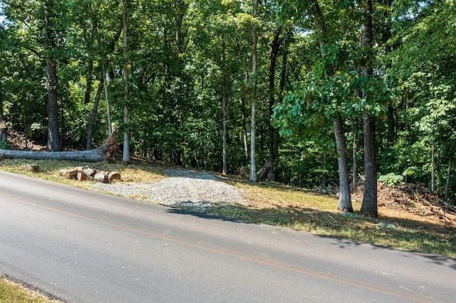 LOTS14 Channel Oaks Dr, Louisville, TN 37777 - photo 5