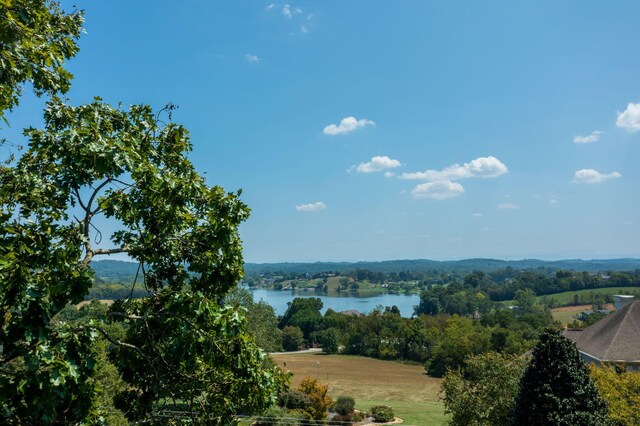 LOTS14 Channel Oaks Dr, Louisville, TN 37777 - photo 10